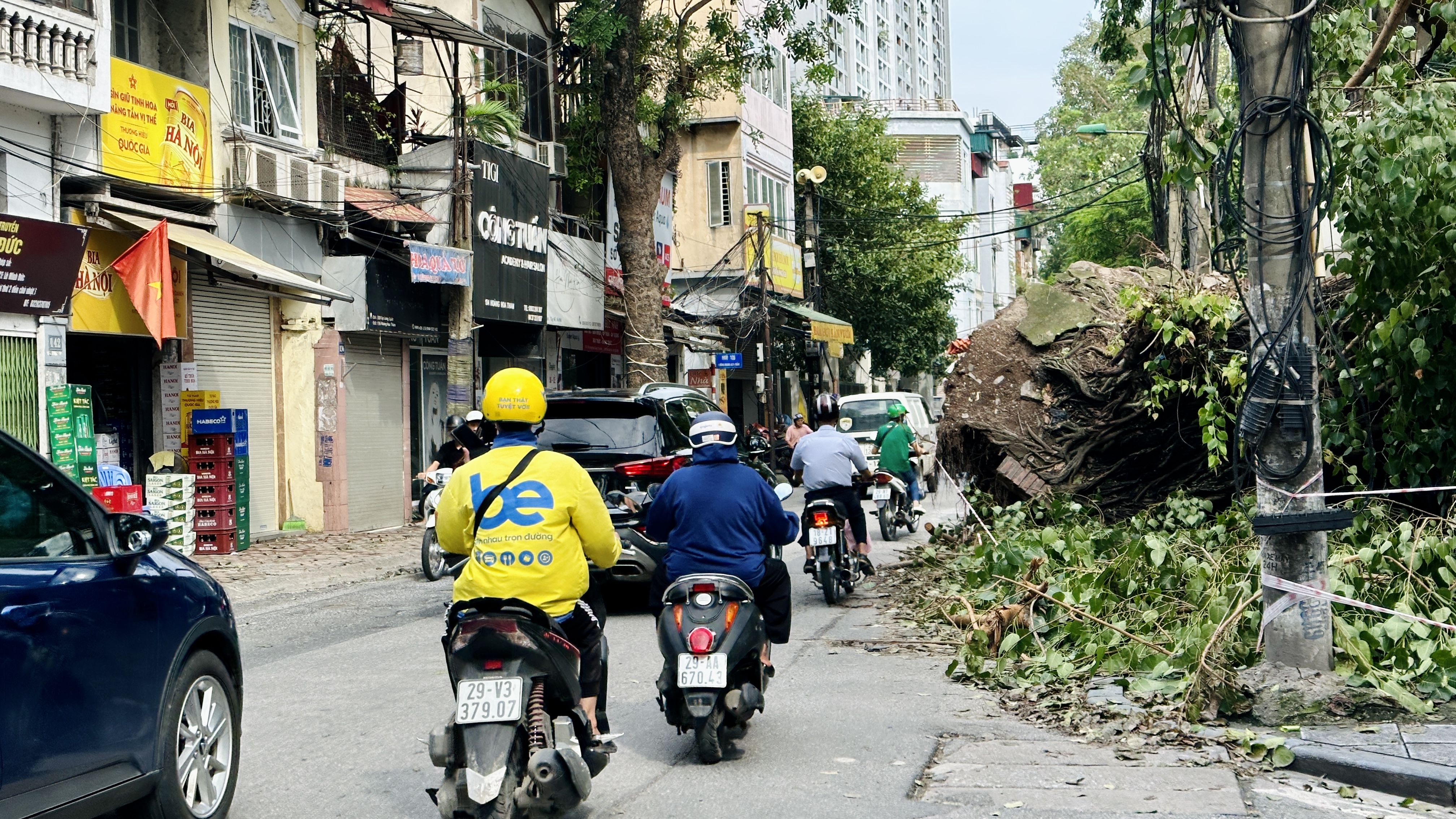 Hà Nội: Lực lượng chức năng tất bật thu dọn cây đổ gãy do bão số 3