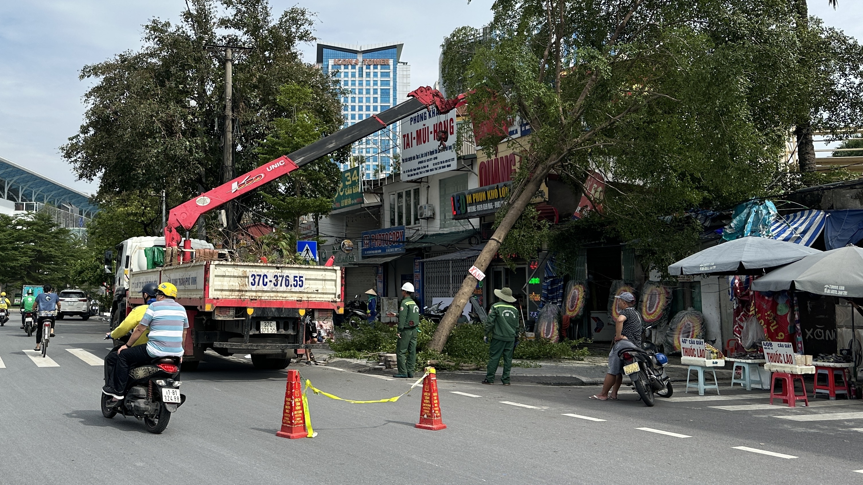 Hà Nội: Lực lượng chức năng tất bật thu dọn cây đổ gãy do bão số 3