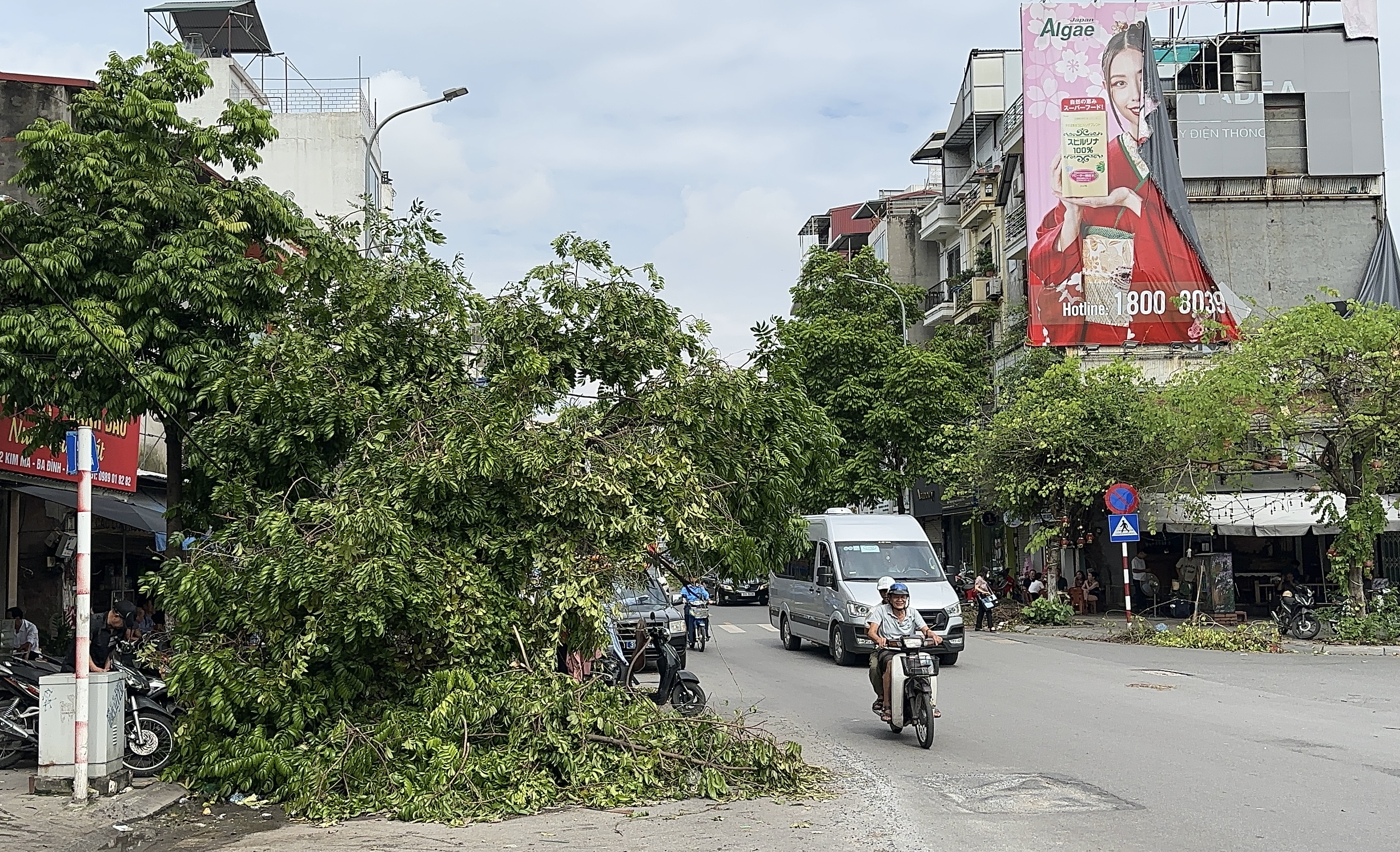 Hà Nội: Lực lượng chức năng tất bật thu dọn cây đổ gãy do bão số 3