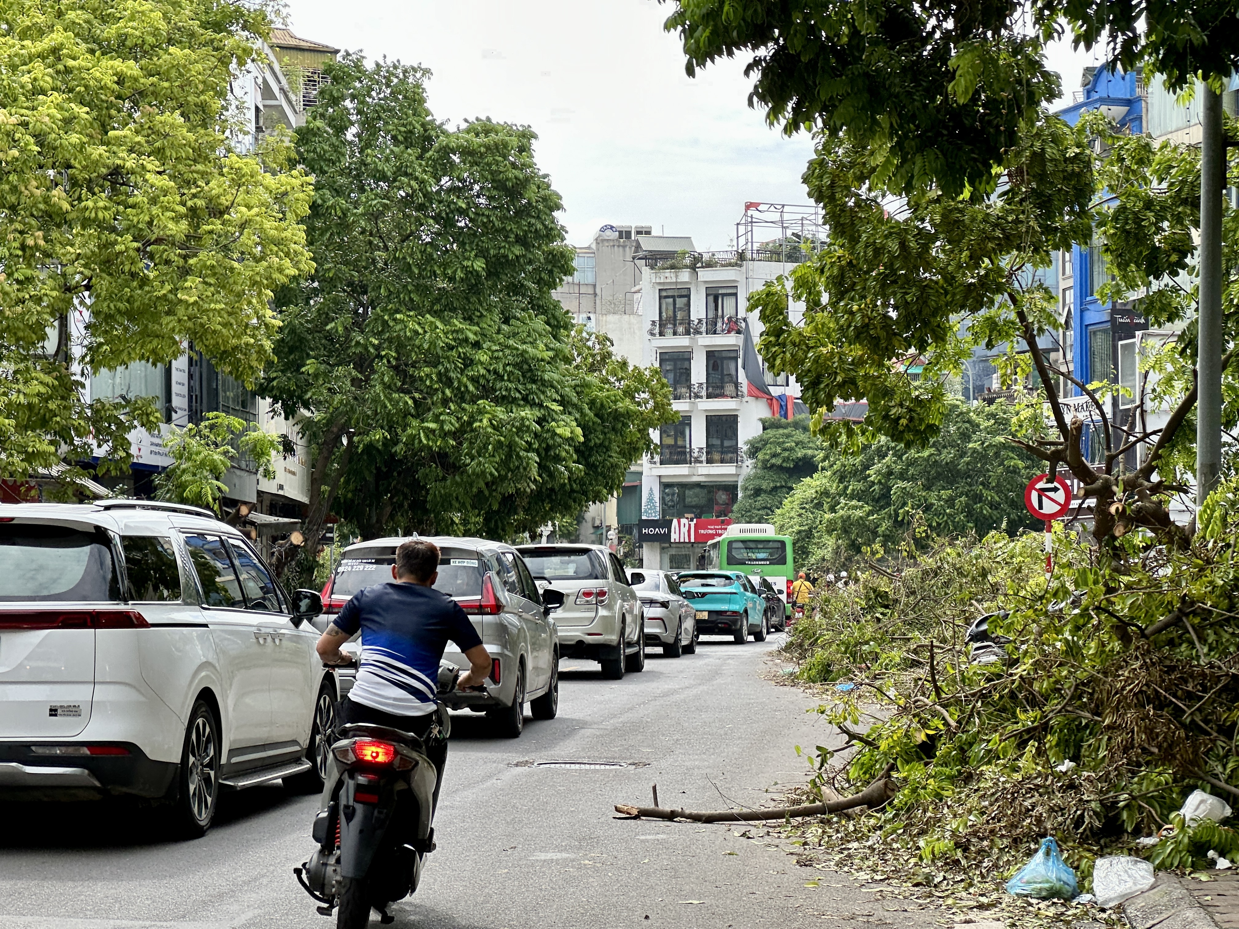 Hà Nội: Lực lượng chức năng tất bật thu dọn cây đổ gãy do bão số 3