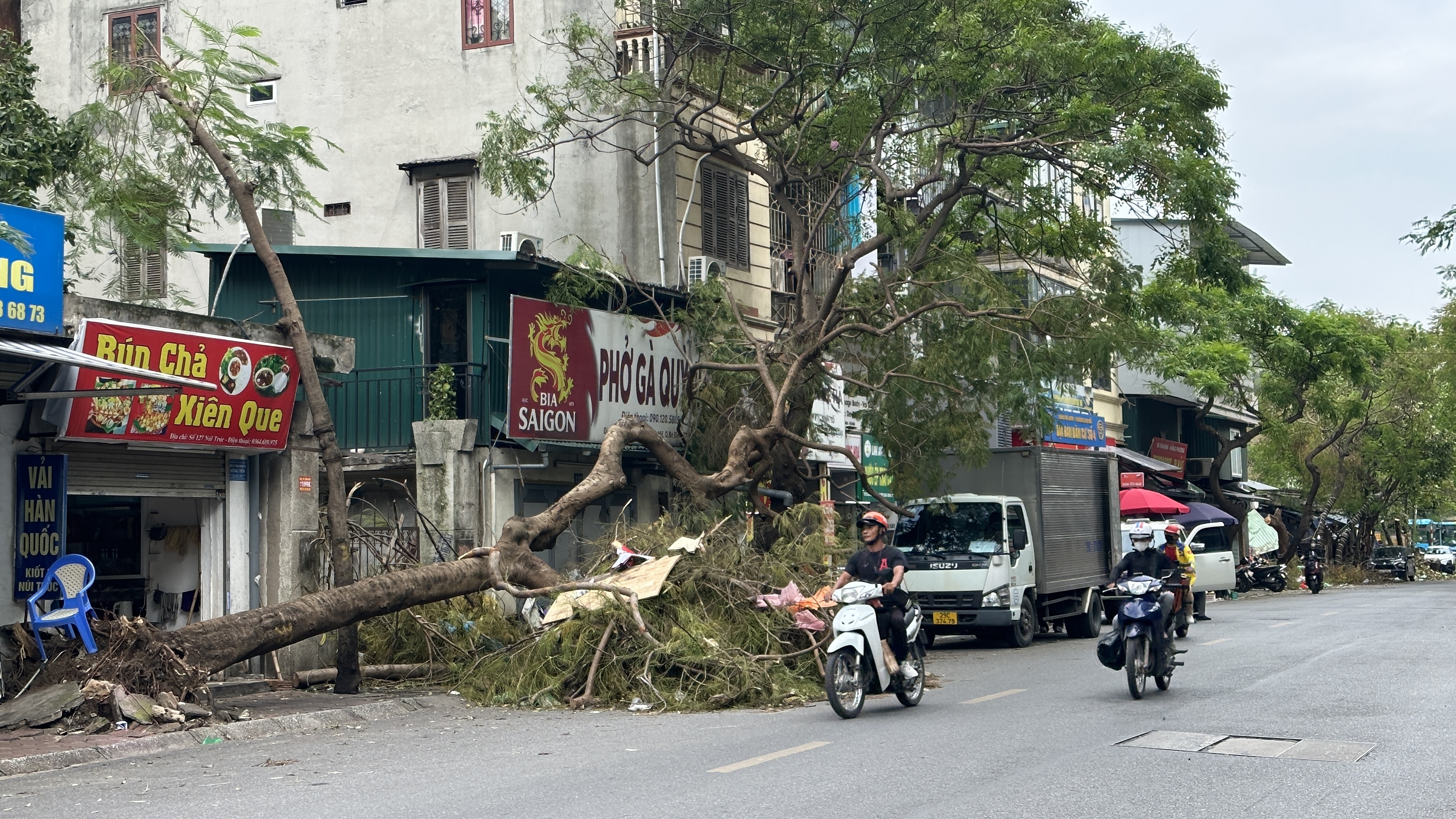 Hà Nội: Lực lượng chức năng tất bật thu dọn cây đổ gãy do bão số 3