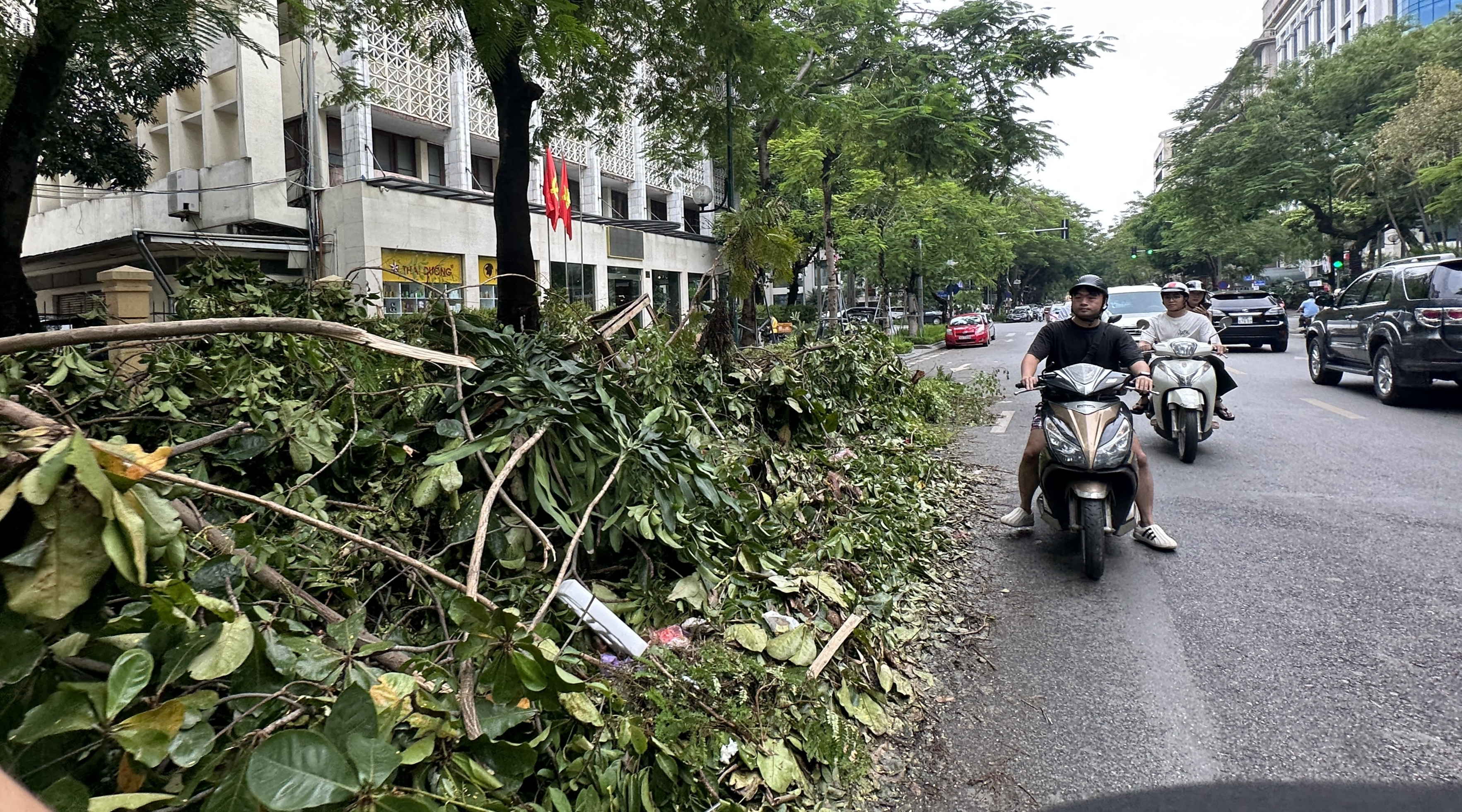 Hà Nội: Lực lượng chức năng tất bật thu dọn cây đổ gãy do bão số 3