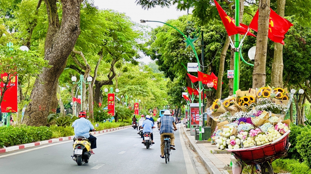 Sắc hoa mùa thu dịu dàng điểm màu phố phường Hà Nội