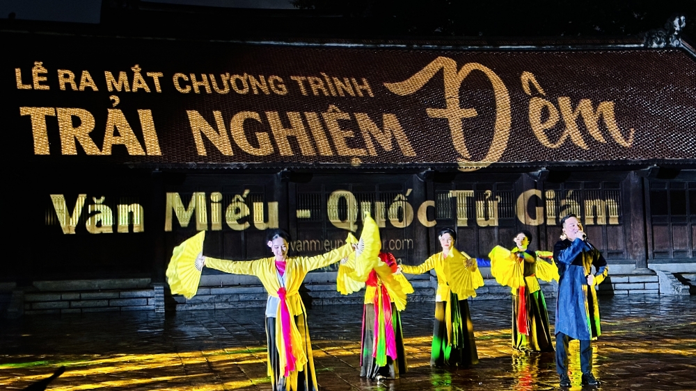 Tour du lịch đêm 