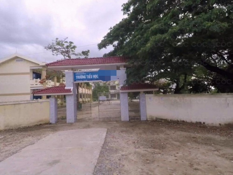 Nhiều học sinh tiểu học ở Quảng Ngãi bị chó cắn dã man