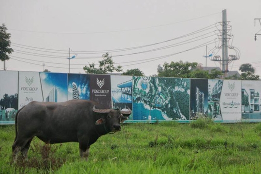 Huyện Mê Linh "gánh" 47 dự án dở dang sau 11 năm sáp nhập về Hà Nội