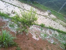 thoi tiet hom nay 274 canh bao mua da tai vung nui