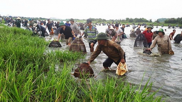 xan quan mang nom di du le hoi bat ca dong hoa