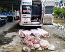 CSGT bắt giữ 5 tạ nội tạng, thịt động vật bốc mùi trên xe khách