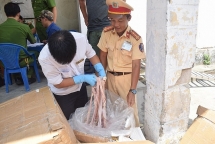 Chặn 1,6 tấn nội tạng động vật không rõ nguồn gốc chuẩn bị ra thị trường