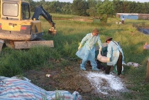 Hà Tĩnh đã phát hiện ổ dịch tả lợn châu Phi đầu tiên