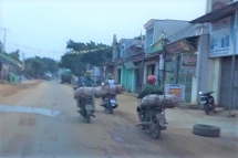 Thanh Hóa: Dịch tả lợn châu Phi tái bùng phát