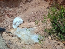 Dịch tả lợn châu Phi tái bùng phát tại Thừa Thiên - Huế