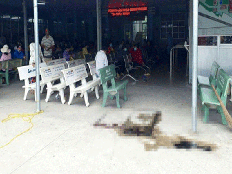 Gây án mạng trong bệnh viện vì nghi vợ ngoại tình