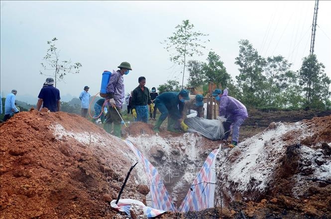 Tuyên Quang: 2 cán bộ thú y để lợn nhiễm dịch tả châu Phi tới Hà Giang