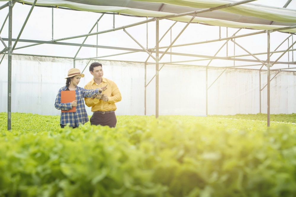 BAC A BANK đồng hành thúc đẩy nông nghiệp công nghệ cao và tài chính xanh BAC A BANK đồng hành thúc đẩy nông nghiệp công nghệ cao và tài chính xanh