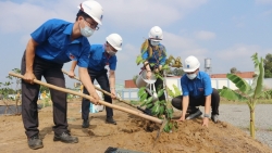 kdn tiep tuc chuong trinh trong cay nam 2021 tai ba ria vung tau