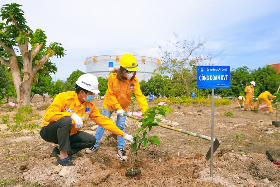 Các cán bộ Công đoàn KVT trồng cây ăn trái cho Kho cảng Vũng Tàu