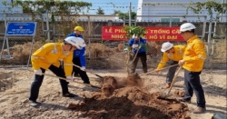 PVGAS D trồng cây xanh tại Nhơn Trạch - tỉnh Đồng Nai