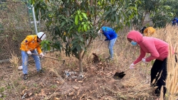 Công khai thông tin môi trường của Chi nhánh Khí Hải Phòng quý I/2023