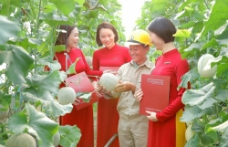 Agribank cung ứng 180.000 tỷ đồng "tháo gỡ" vốn cho sản xuất kinh doanh