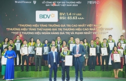 BIDV - Thương hiệu có tốc độ tăng trưởng nhanh nhất Việt Nam 2023