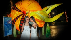 Đảo ngọc Phú Quốc đón Giáng Sinh với triển lãm ánh sáng “Save the Oceans”