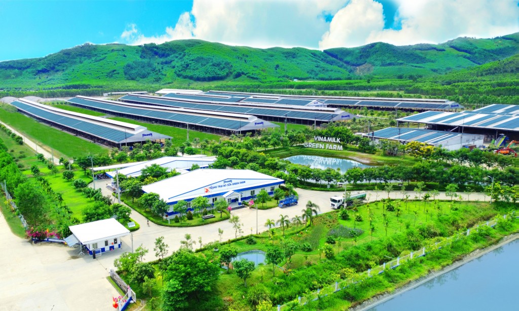 Lượng carbon trung hòa của trang trại Green Farm tương đương 30.000 sân bóng phủ đầy cây xanh, lượng nước tuần hoàn tương đương 86 hồ bơi Olympic…