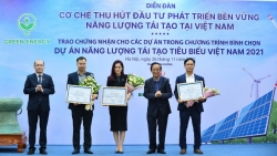 hai nha may dien mat troi cua bim energy lot top 10 du an nang luong tai tao tieu bieu viet nam 2021