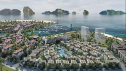 sailing club signature resort ha long bay gay an tuong voi su kien gioi thieu truc tuyen dau tien