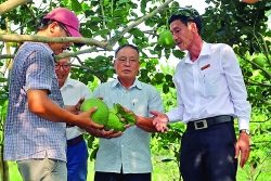 agribank cung ba con xay dung vung nguyen lieu nong lam san