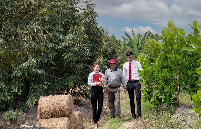 Phát triển Tam nông bền vững từ Đề án 1 triệu ha lúa