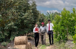 Phát triển Tam nông bền vững từ Đề án 1 triệu ha lúa