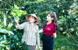 Agribank ghi dấu ấn đậm nét trong bức tranh kinh tế