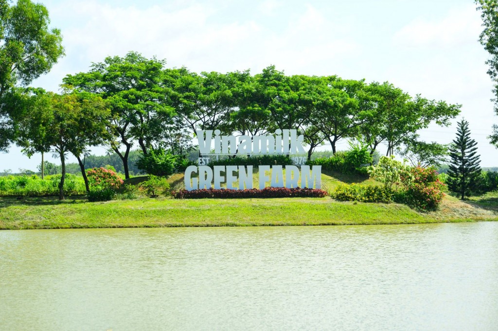 Trang trại bò sữa công nghệ cao của Vinamilk – một mắt xích quan trọng trong chuỗi sản xuất khép kín từ trang trại đến ly sữa, minh chứng cho tầm nhìn phát triển bền vững và cam kết mang đến nguồn sữa tươi chất lượng cho người Việt