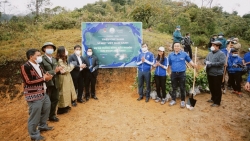 PV GAS Trading đồng hành cùng chương trình “Triệu cây xanh - Vì một Việt Nam xanh” 2021