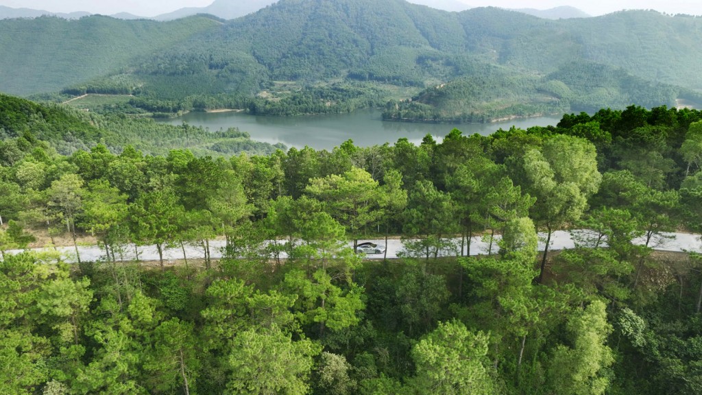 Rừng thông không chỉ tạo mảng xanh, mà được gìn giữ như một phần quan trọng trong định hướng chăm sóc y tế dài hạn. Ảnh chụp tại Thanh Xuan Valley. Rừng thông không chỉ tạo mảng xanh, mà được gìn giữ như một phần quan trọng trong định hướng chăm sóc y tế dài hạn. Ảnh chụp tại Thanh Xuan Valley.