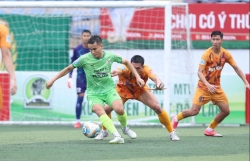 dai tu va hieu hoa quahaco chia diem bang b tu than them hap dan