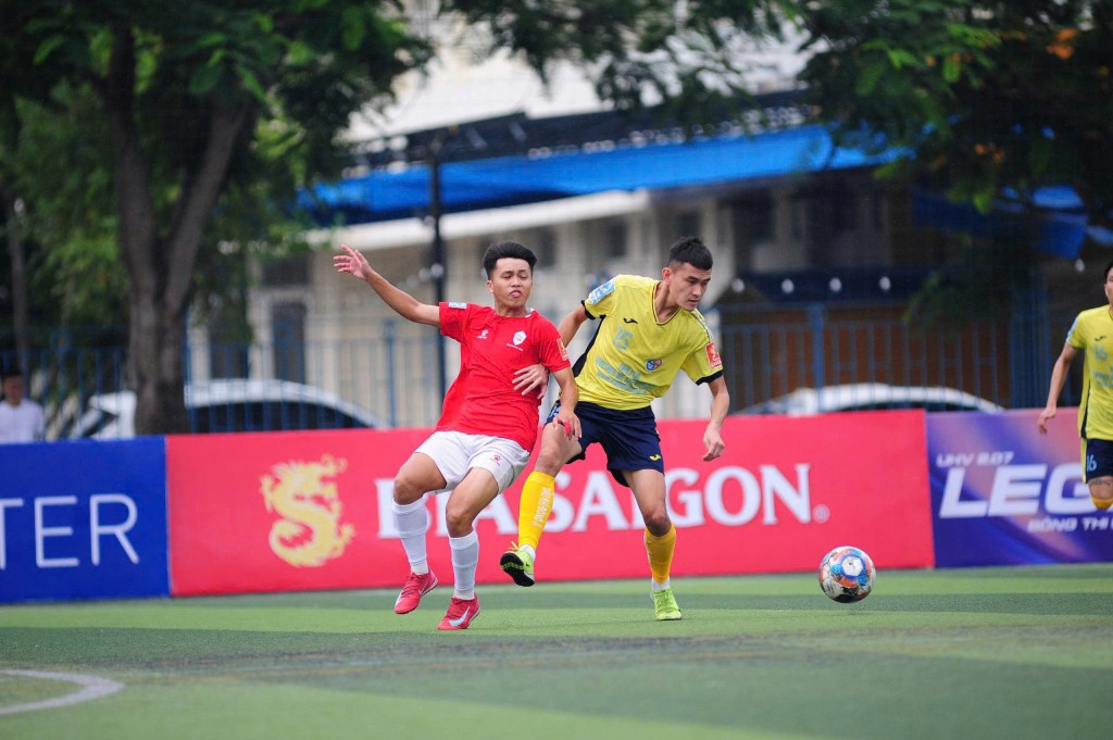 THÁI HƯNG - DA LUBE (Vàng) THÁI HƯNG - DA LUBE (Vàng)