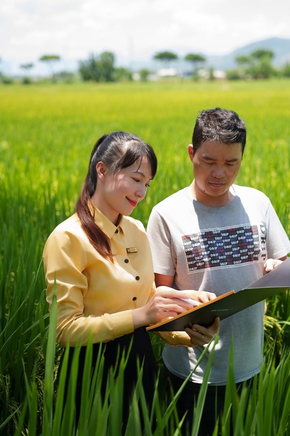 BAC A BANK đồng hành cùng nông dân, thúc đẩy sản xuất lúa gạo chất lượng cao vùng Đồng bằng sông Cửu Long