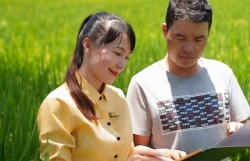 bac a bank dong hanh cung nong dan thuc day san xuat lua gao chat luong cao vung dong bang song cuu long