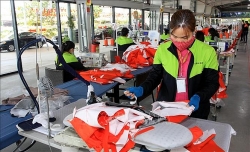 xuat khau det may don tin hieu mung