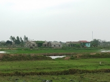 Hưng Yên: Công ty POSHACO bất chấp luật pháp về đất đai