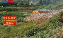 Huyện Hiệp Hòa - Bắc Giang xử lý hàng trăm xác lợn chết trên kênh Trôi