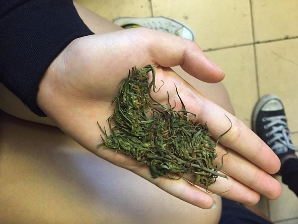 van chuyen buon ban can sa bi xu ly hinh su nhu the nao