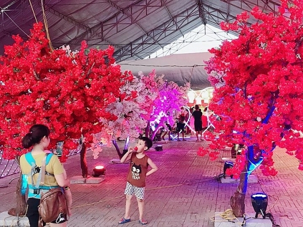 thich thu ngam tuyet roi trong sac hoa anh dao o nghe an