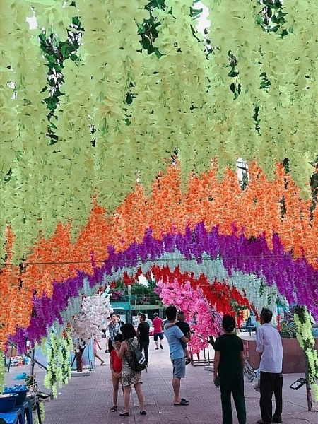 thich thu ngam tuyet roi trong sac hoa anh dao o nghe an