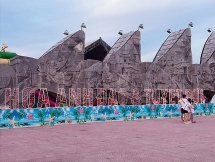 Thích thú ngắm “Tuyết rơi trong sắc hoa Anh Đào” ở Nghệ An