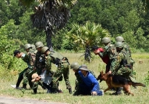 Bắt 116 đối tượng nguy hiểm và đặc biệt nguy hiểm