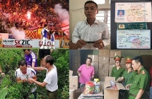 Pháp luật Hà Nội tuần qua: Liên tiếp xảy ra nhiều vụ án nghiêm trọng